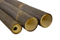 Westwood | Bamboe paal | Zwart | 300 cm | 8-10 cm
